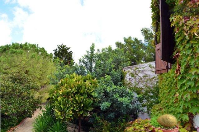 Eurialo Green Suites بلفيديري المظهر الخارجي الصورة